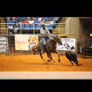 Meet your Posher, Darius